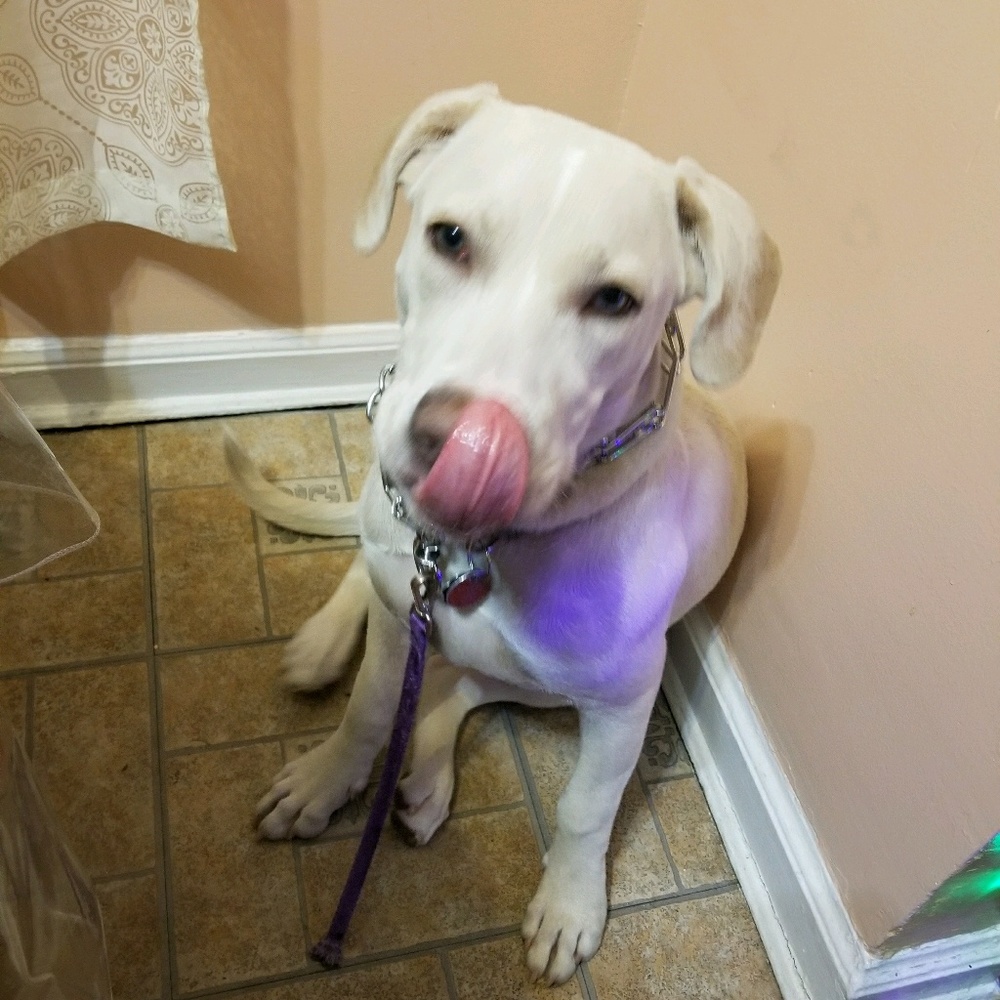 Meet your Posher, Aristea